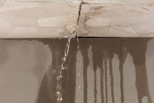 Professional Water Extraction technician working in La Porte, TX